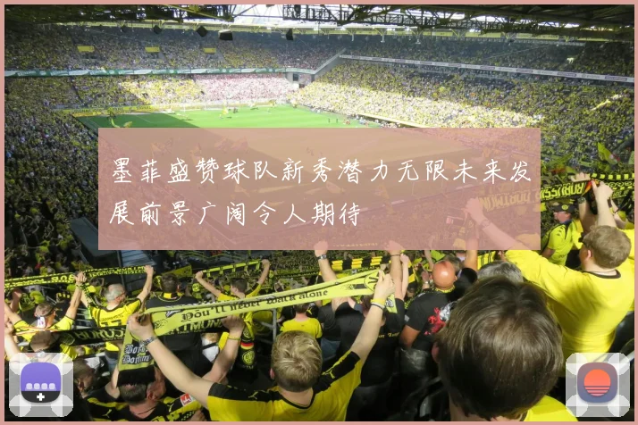 墨菲盛赞球队新秀潜力无限未来发展前景广阔令人期待