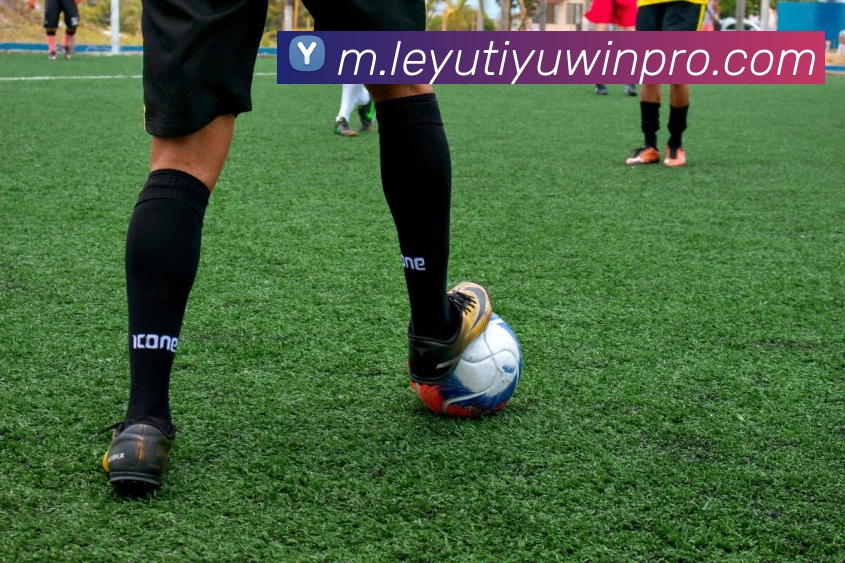 多媒体互动体验