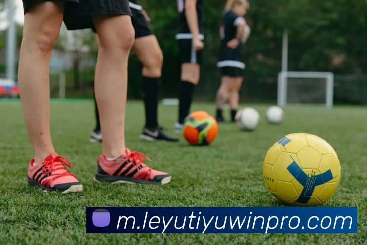 乐鱼体育APP 体育赛事宣传图